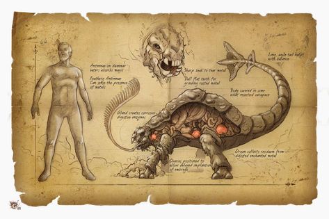 Rust Monster Magical Creatures Mythology, Mystical Creatures Mythology, Fantasy Creatures Mythology, Harry Potter Creatures, Creaturi Mitice, Sejarah Kuno, Arte Occulta, Folklore Art, Myths & Monsters