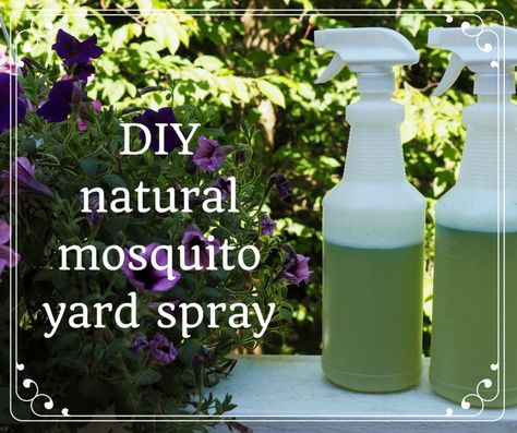 Backyard Mosquito Control, Mosquito Yard Spray, Mosquito Repellent Homemade, Diy Mosquito Repellent, Mosquito Spray, Natural Mosquito Repellant, Insect Spray, Organic Pesticide, Mosquito Repelling Plants