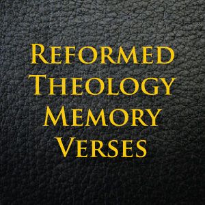 Reformed Bible Study, Biblical Theology, Ligonier Ministries, Study Topics, Memory Verses, Bible Study Topics, Reformed Theology, John Macarthur, Study Scripture