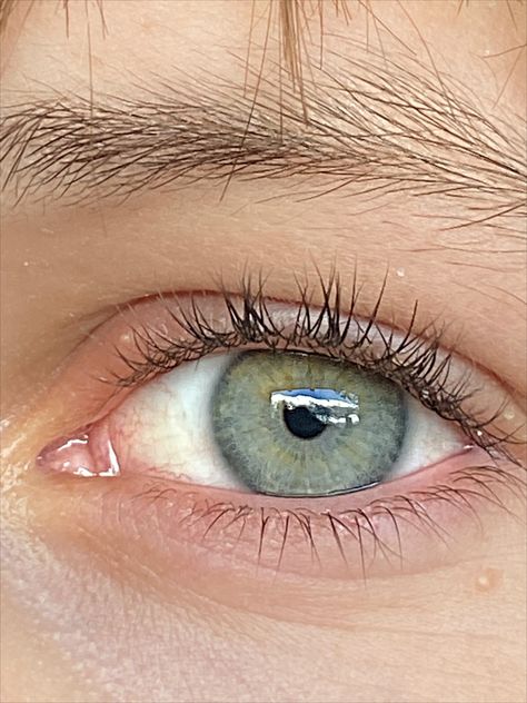 green eyes Grey Green Eyes, Yellow Green Eyes, Blue Eyes Aesthetic, Hazel Green Eyes, Blue Eye Color, Blue Eyed Men, Blue Green Eyes, Gray Eyes, Aesthetic Eyes