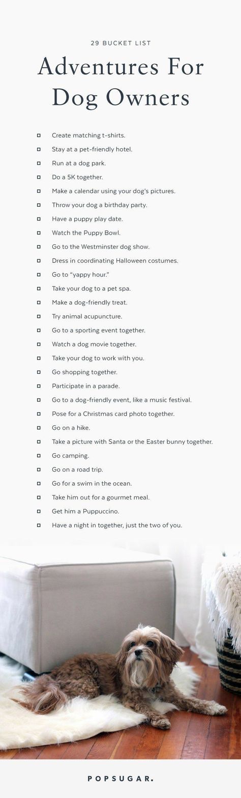 29 Bucket List Adventures For Dog Owners Lou Dog, Dogs Stuff, Puppy Play, Dog Info, 웃긴 사진, Crazy Dog, Cane Corso, Dog Show, Dog Owner