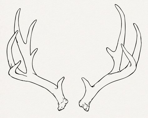 Antlers SVG, Realistic Deer Antler Clip Art, Cut File for Cricut, Commercial Use, Hand Drawn Rustic Boho Vector, Deer Skull Line Art, Rack - Etsy Deer Antler Illustration, Simple Antler Drawing, Fine Line Deer Antler Tattoo, White Tail Antler Tattoo, Deer Antler Sketch, Antler Drawing Simple, White Tail Deer Antler Tattoo, Deer Antler Drawing Easy, How To Draw Deer Antlers