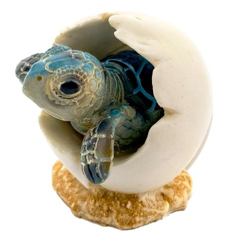 PRICES MAY VARY. The figurine is 2.5" baby sea turtle emerging from its shell with its flippers and head sticking out, and cracking lines on the shell creating an authentic feel. Materials: High quality resin ensuring durability and longevity for years to come. Multi-uses: This miniature resin turtle from The Joy Tree is perfect for a variety of uses, including as a decorative accent in your living room, bedroom, or workspace. Its intricate details and lifelike features make it a great addition Turtle Bathroom Decor, Sea Turtle Bathroom, Turtle Bedroom, Sea Turtles Hatching, Resin Turtle, Turtle Hatching, Marine Decor, Turtle Sculpture, Baby Sea Turtle