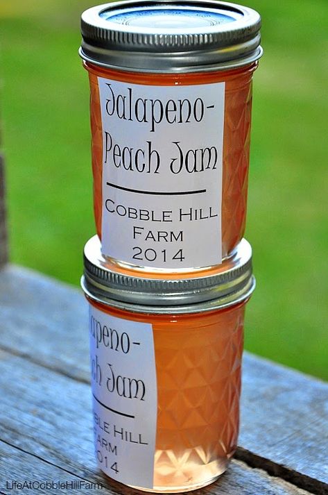 Candy Peppers, Peach Pepper Jelly Recipe, Datil Peppers, Peach Pepper Jelly, Peach Jalapeno Jam, Jalapeno Jelly Recipes, Jalapeño Jelly, Vegetable Gratin, Small Homestead