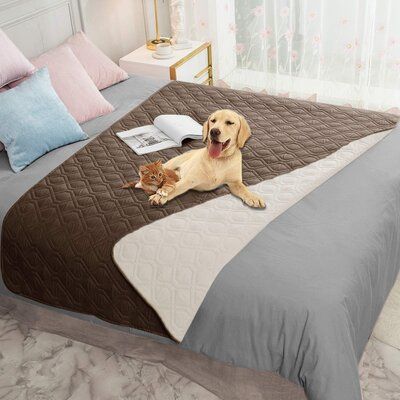 Guaranteed! This premium protector prevents almost all types of moisture and liquids from leaking through. Perfect for those with dogs and cats! Color: Beige, Size: Large (82" W x 0.1" D x 52" H) | Tucker Murphy Pet™ Waterproof Dog Bed Cover Pet Blanket w/ Anti-Slip Back For Furniture Bed Couch Sofa Polyester in Brown | Wayfair Waterproof Furniture, Waterproof Dog Bed, Waterproof Blanket, Couch Protector, Covered Dog Bed, Microfiber Blanket, Bed Couch, Furniture Bed, Pet Blanket