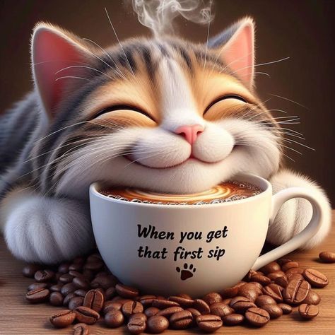 Kaffe Humor, Morning Coffee Funny, Cute Good Morning Gif, Good Morning Cartoon, Good Morning Cat, Morning Cat, Good Morning Funny Pictures, Morning Coffee Images, Cute Good Morning Images