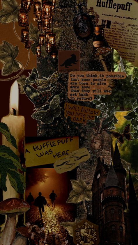 #hufflepuff #hufflepuffaesthetic #hufflepuffvibes #darkacademiaaesthetic #darkhufflepuff #harrypotteraesthetic Hufflepuff Wallpaper, Hufflepuff Aesthetic, Hufflepuff House, The Goblet Of Fire, Harry Potter Hufflepuff, Hogwarts Aesthetic, Goblet Of Fire, Cedric Diggory, Harry Potter Wallpaper