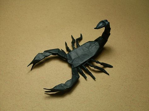 high-end origami: robert j. lang - scorpion Origami Animals Tutorial, Origami Scorpion, Emperor Scorpion, Hanji Paper, Paper Folding Art, Origami Shapes, Linda Smith, Origami Wedding, Origami Decoration