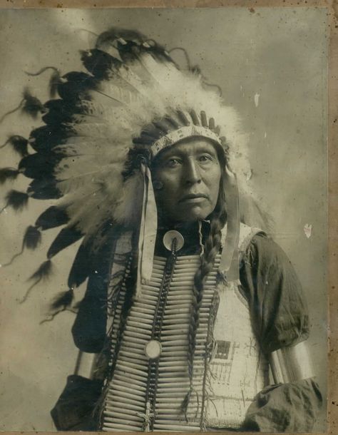 Indian Chief with Head Dress Chief Seattle, Native American Chief, Cherokee Indian, American Photo, Wilde Westen, Native American Photos, The Chiefs, Word Meaning, Native American Heritage