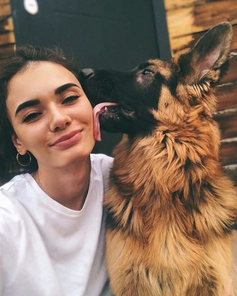 This guy knows exactly how to take great selfie German Shepherd Pictures, Colorful Hairstyles, Funny German Shepherd, Scary Dogs, Dog Photoshoot, Dog Selfie, The Fox And The Hound, Shepherd Puppies, Girl And Dog