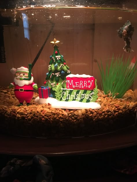 I found Christmas decorations for Greyson's fish tank at Petsmart Fish Tank Christmas Decorations, Christmas Fish Tank Decoration, Christmas Fish Tank, Chemistry Christmas Ornaments, Christmas Aquarium, Tank Aquariums, Beta Tank, Christmas Fish, Crab Tank