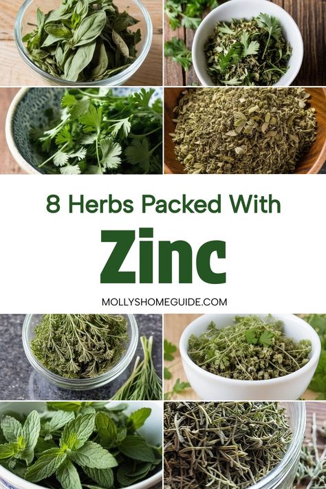 Discover the healing power of herbs high in zinc with this collection of nourishing and immune-boosting foods. Combat zinc deficiency by incorporating these powerful zinc sources into your daily routine. From herbs for lymphatic system support to foods that boost your immunity, these zinc-rich foods will help you stay healthy and strong. Explore the wonders of herbs high in zinc to enhance your overall well-being and vitality. Medicinal Herbs And Their Uses, Zinc Sources, Baneful Herbs, Foods High In Zinc, Herbs For Healing, Zinc Rich Foods, Herbal Medicine Recipes, Herbal Remedies Recipes, Zinc Deficiency