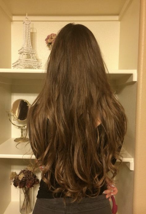 Really Long Hair Aesthetic, Long Brunette Hair Aesthetic, Brown Hair On Latinas, Long Brown Hair Aesthetic, Elina Core, Wavy Light Brown Hair, Very Long Brown Hair, Slightly Wavy Hair, Long Brown Wavy Hair