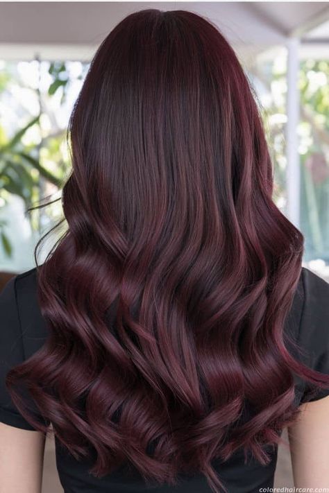 20 Stunning Mahogany Hair Color Ideas You'll Love This Year. 15 Dark Green Balayage, Brown And Burgundy Hair, Red Mahogany Hair Color, Mahogany Red Hair Color, Dark Mahogany Hair Color, Best Burgundy Hair Dye, Dark Mahogany Hair, Green Balayage, Balayage Black Hair