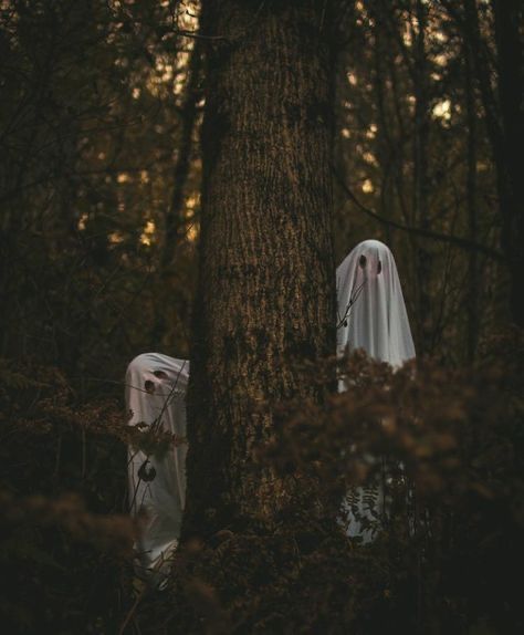 Ghost Theme Photoshoot, Funny Halloween Photos, Spooky Sister Photoshoot, Ghost Bff Photoshoot, Spooky Ghost Photoshoot, Halloween Reference Photos, Halloween Bff Photoshoot, Halloween Photoshoot Best Friends, Spooky Fall Photoshoot