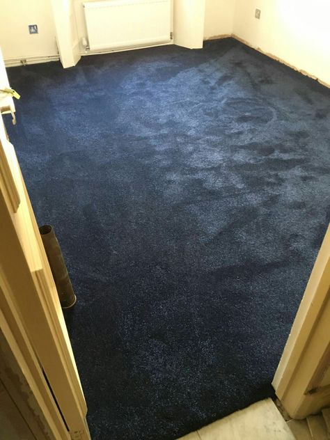 Dark blue carpet Navy Carpet Bedroom, Dark Blue Carpet, Navy Carpet, Blue Carpet Bedroom, Masculine Bedroom, Fitted Bedrooms, Carpet Bedroom, Blue Carpet, Doctor Office