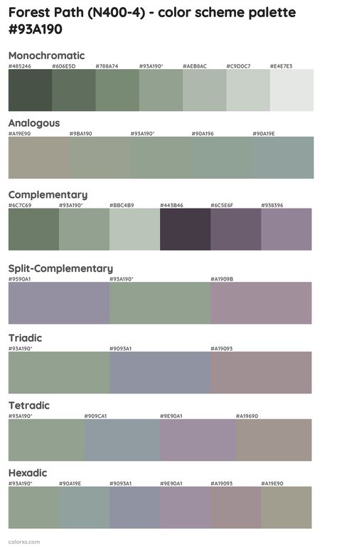 Color Wheel Sage Green, Monochromatic Color Outfit, Sage Color Outfit Ideas, Saybrook Sage Color Palettes, Sage Green Color Combinations Outfit, Sage Complimentary Colors, Sage Outfits Color Combos, Colors That Compliment Sage Green, Sage Color Combinations