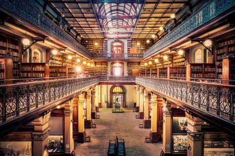 Library Vibes, Library Modern, Ceiling Artwork, Most Beautiful Libraries, George Peabody Library, Trinity College Library, Peabody Library, Beautiful Libraries, Australia Adelaide