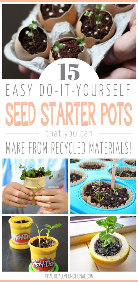 Now is the perfect time to start seeds! Check out these 15 DIY seed starter pots - all of which you can make from recycled materials! #seedstarter #gardening #practicallyfunctional Diy Seed Starter, Seed Starting Containers, Seed Starting Soil, Seed Starters, Seed Starting Mix, Starting Seeds Indoors, Seed Packaging, Seed Starter, Recycling Containers