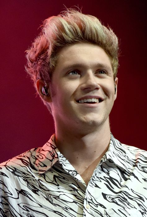 Niall Horan Just Dyed His Hair White Blonde Niall Horan Baby, Gambar One Direction, Irish Princess, Irish Boys, Nicole Scherzinger, James Horan, One Direction Pictures, White Blonde, 1d And 5sos