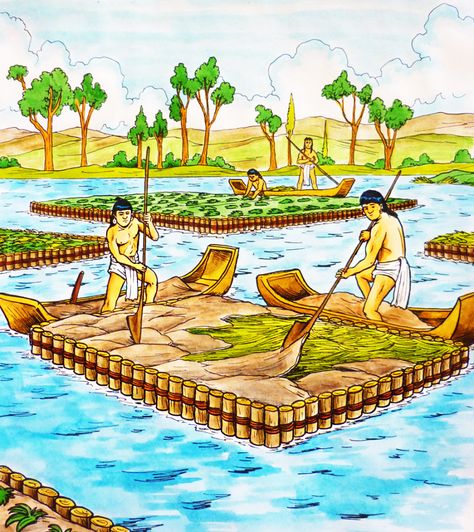 aft depiction of chinampas. from http://www.komoni.mx/la-primera-chinampa/ Aztec Agriculture, Aquaponics Kit, Permaculture Design Course, Artificial Island, Floating Islands, Floating Garden, Aztec Culture, Permaculture Gardening, Permaculture Design