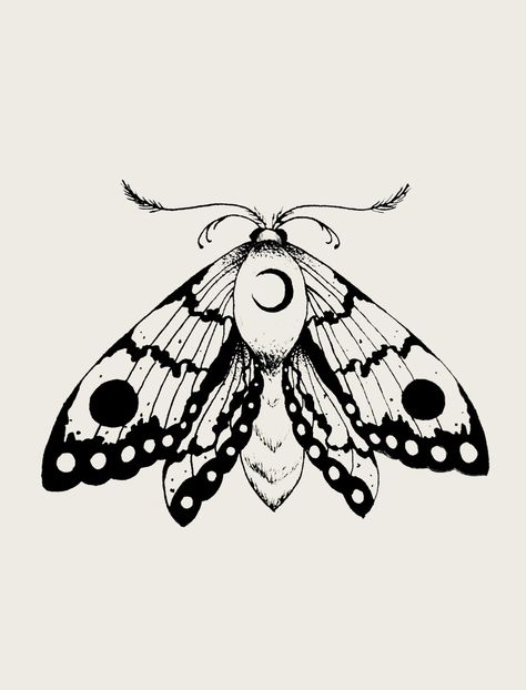 Moth Drawing, Tier Tattoo, Pola Tato, Kunst Tattoos, Tattoos Geometric, Moth Tattoo, Tattoo Design Drawings, Tattoo Sketches, Future Tattoos