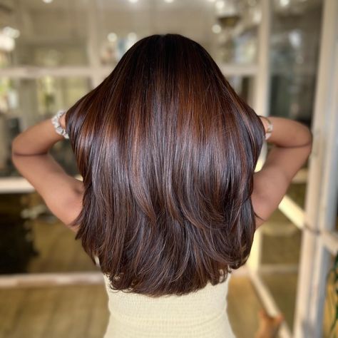 65 Dark Brown Hair Ideas To Try ASAP Glaze On Brown Hair, French Glossing Hair, Brown Hair Colors Straight, Hair Colour For Dark Skin Tones, Balayage For Indian Skin Tone, Hair Colour For Brown Skin, Warm Toned Balayage, Dark Brown Long Hair, Medium Brown Hair Color