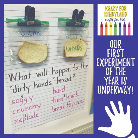 Germ Experiment, Germs Preschool Activities, Germ Crafts, Germs Preschool, Germs Lessons, Healthy Habits Activities, Healthy Habits Preschool, Germs Activities, Hygiene Activities