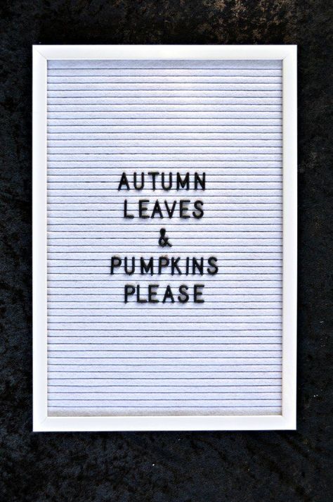 Letter Board Ideas, Letterboard Ideas, Letterboard Signs, Board Sayings, Letter Board Quotes, Letterboard Quotes, Message Board Quotes, Fun Sayings, Felt Letter Board