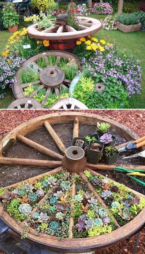 Herb Wheel, Round Garden, Herb Garden Design, Recycled Garden, Gardening Vegetables, Garden Yard Ideas, Wagon Wheel, Perfect Garden, Garden Bed