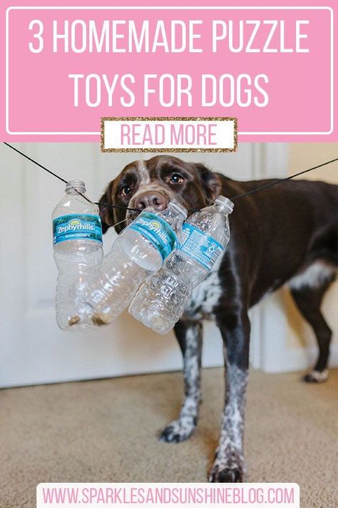 Diy Dog Toys To Keep Them Busy, Dog Distraction Toys Diy, Easy Dog Activities, Diy Dog Intelligence Toys, Dog Distraction Toys, Big Dog Toys Diy, Homemade Dog Brain Games, Big Dog Enrichment, How To Make Dog Toys Diy