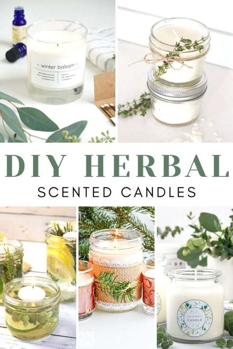 Mint Candles Diy, Sage Candle Diy, Unique Candle Making Ideas Diy, Organic Candles Diy, Candles For Beginners, Diy Herb Candles, Diy Mosquito Repellent Candle, Soy Candle Recipe, Insect Repellent Candles