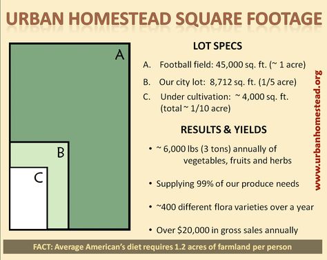 2 Acre Homestead Ideas | The Florida Homestead Urban Homestead, Acre Homestead, Farm Plans, Farm Layout, Nature Projects, City Farm, Urban Agriculture, Urban Homesteading, Sustainable Agriculture