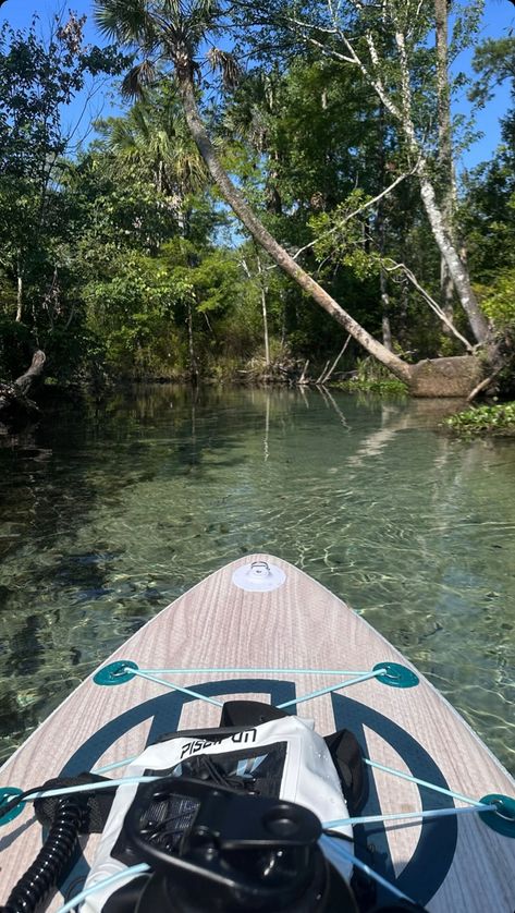 #paddleboarding #springs #Florida #summer Florida Springs Aesthetic, Paddleboarding Aesthetic, Florida Springs, Springs Florida, Birthday Trip, Spring Aesthetic, First Apartment, Paddle Boarding, Water Sports