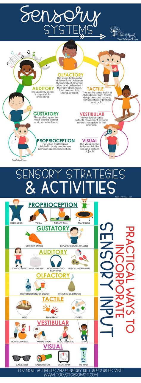 Sensory Diet - Tools to Grow Sensory Integration Activities, Sensory Seeker, Sensory Disorder, Sensory Input, Sensory Therapy, Sensory System, Sensory Diet, Occupational Therapy Activities, Pediatric Occupational Therapy