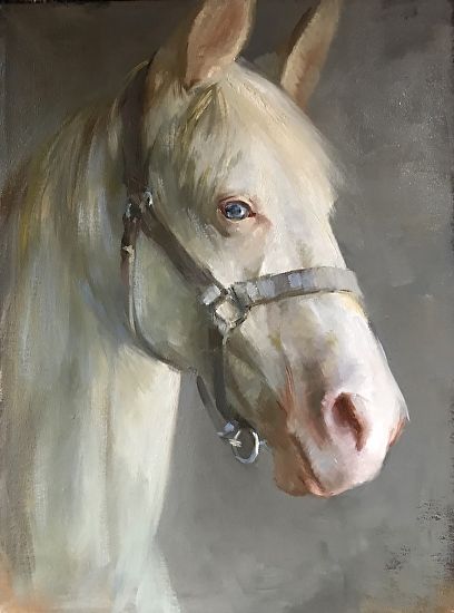 Katherine Galbraith - The White Horse- Oil - Painting entry - November 2018 | BoldBrush Painting Competition White Horse Painting, Horse Canvas Painting, Simple Oil Painting, Oil Painting Tips, Horse Oil Painting, Oil Painting Background, Painting Horse, Painted Horses, Oil Painting Inspiration