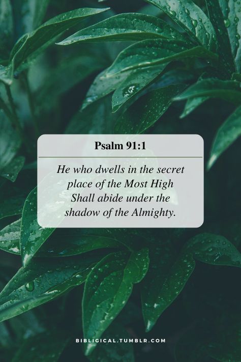 Psalm 91 1, Shadow Of The Almighty, Secret Place, Creepy Horror, Under The Shadow, Psalm 91, Most High, Secret Places, The Shadow