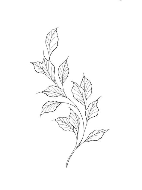 Leaf Tattoo Template, Tattoos Of Leaves, Simple Leaf Tattoo Design, Philodendron Tattoo Leaves, Leave Vine Tattoo, Vines And Leaves Tattoo, Tattoo Leaf Designs, Leaves Tattoo Drawing, Simple Leaves Tattoo