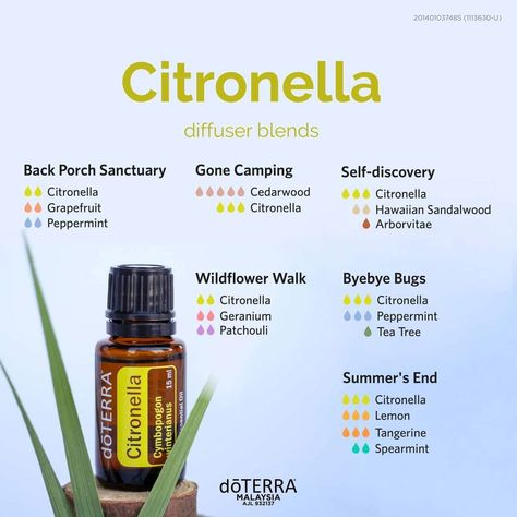 Citronella Essential Oil Diffuser Blends, Bug Repellent Diffuser Blend, Citronella Diffuser Blend, Citronella Essential Oil Blends, Citronella Plant Uses, Doterra Citronella, Stomach Bug Remedies, Essential Oil Bug Repellent, Doterra Diffuser