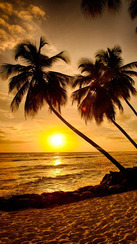 Marian Tattoo, Palm Tree Sunset, Happy Week End, Beach At Sunset, Amazing Sunsets, Sunset Wallpaper, Beautiful Sunrise, Beautiful Places To Travel, Beautiful Sky