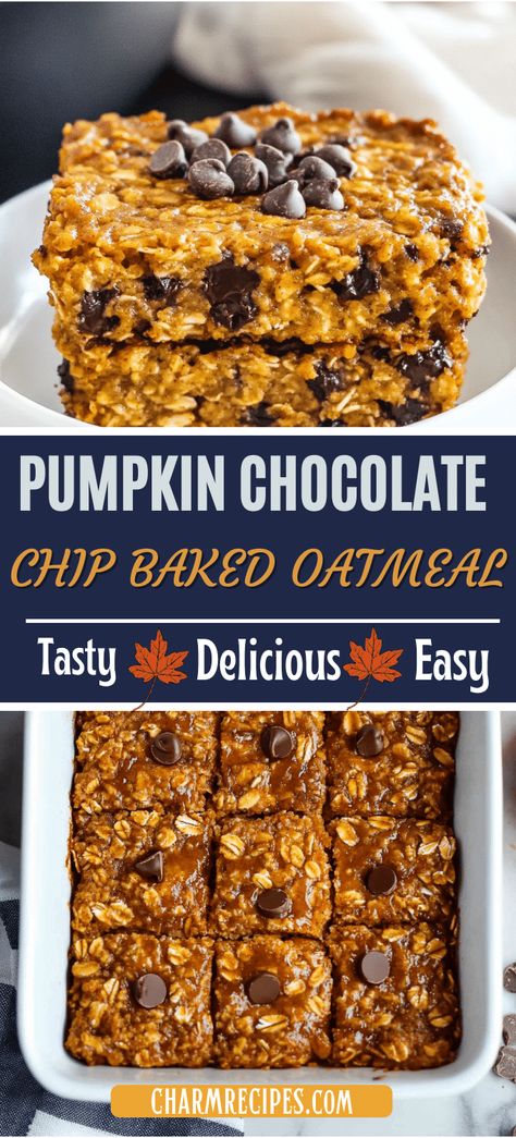 PUMPKIN CHOCOLATE CHIP BAKED OATMEAL Pumpkin Chocolate Chip Oatmeal Bars, Oatmeal Breakfast Bake Recipes, Quick Breakfast For A Crowd, Baked Steel Cut Oatmeal, Chocolate Chip Baked Oatmeal, Pumpkin Baked Oatmeal, Oatmeal Baked, Oatmeal Dessert, Baked Pumpkin Oatmeal