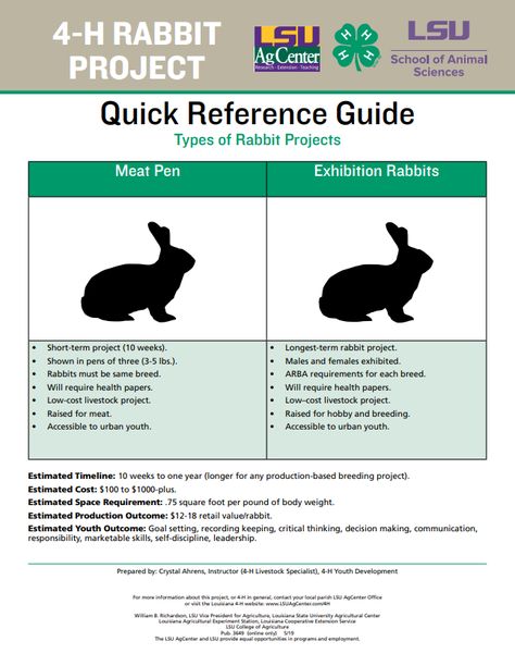 The rabbit project teaches proper methods to care for rabbits as well as raising, breeding and marketing rabbits effectively. Rabbit projects include meat pens (terminal market production), breeding rabbits (breeding and raising rabbits desired for specific characteristics), and hobby or pet rabbits (used for companionship). The 4-H rabbit project is a livestock format that is accessible to both urban and rural 4-H’ers. Meat Rabbits Breeds, Breeding Rabbits, Rabbit Breeding, Livestock Judging, Show Rabbits, 4 H Club, Pet Rabbits, Rabbit Farm, Meat Rabbits