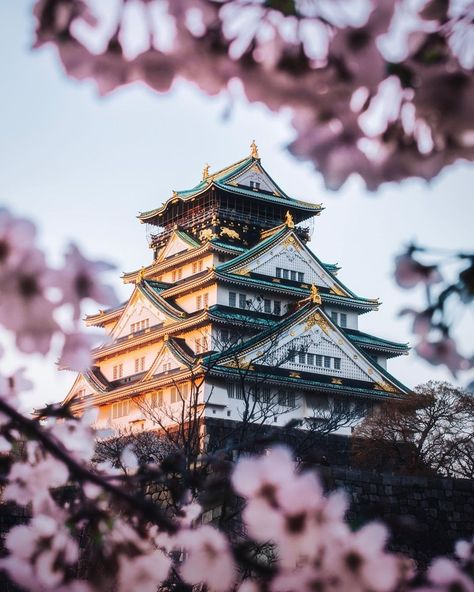 Sunset glow on the jewel of Osaka’s crown. While the cities of this country fascinate me and I will return, I’m so excited to dig deeper on… Castle Drawing, Osaka Castle, Sunset Glow, Castle Tower, Dig Deeper, Point Perspective, Spring Trip, Canon Photography, Foto Instagram