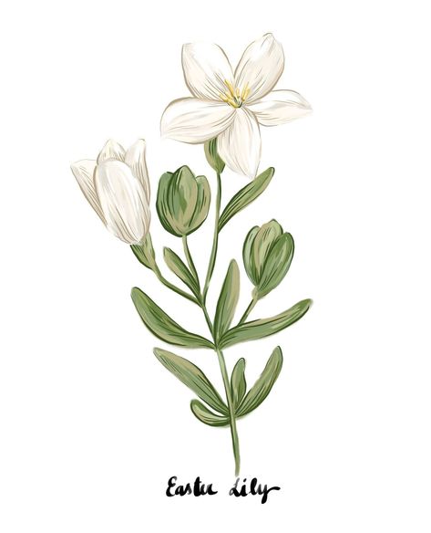 Binny | Easter Lily, Crocus & Hellebore.⁠ ⁠ ⁠ Sign up now 💌⁠ https://binnywear.com/pages/subscribe ⁠⁠ | Instagram Easter Lily, April 12, Water Colour, Gouache Painting, Aesthetic Stickers, This Morning, Watercolor Flowers, Happy Easter, Easter Bunny