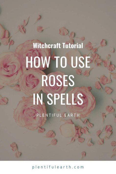 Rose Uses Witchcraft, Rose Petal Magic, Rose Petal Witchcraft, Rose Water Witchcraft Uses, Dried Rose Petals Witchcraft, Rose Petal Spells, Rose Petal Uses Witchcraft, Rose Spells, Spells With Rose Petals