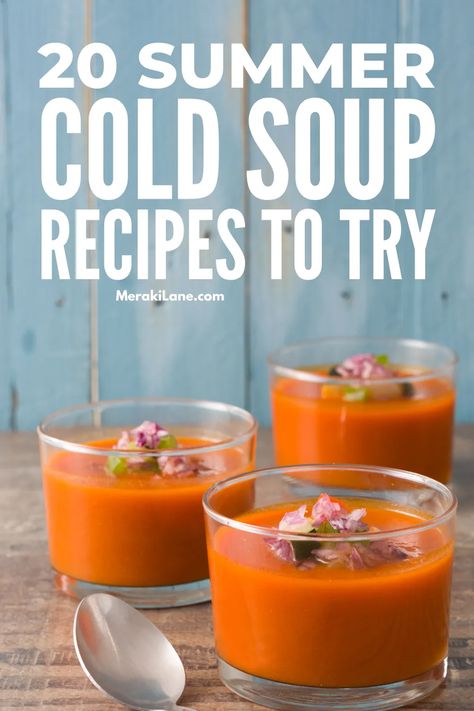 20 Refreshing Cold Soup Recipes for Summer | In hot and humid wether, a heavy, warm meal is often the last thing you want to eat! You want something cool, refreshing, and easy to make -- which is why we've curated this list of simple summer cold soups. From gazpacho, to vichyssoise, to borscht, to ajoblanco, these recipes are vegetarian and vegan, using fresh ingredients like tomatoes, root veggies, avocados, and lime. They also make the perfect leftover lunch recipe for kids and adults alike! Cold Soups For Summer, Cold Summer Soups, Vichyssoise Soup, Classic Borscht Recipe, Cold Tomato Soup, Soup Recipes Healthy Vegetarian, Veggie Soup Recipes, Cold Soup Recipes, Cold Soups