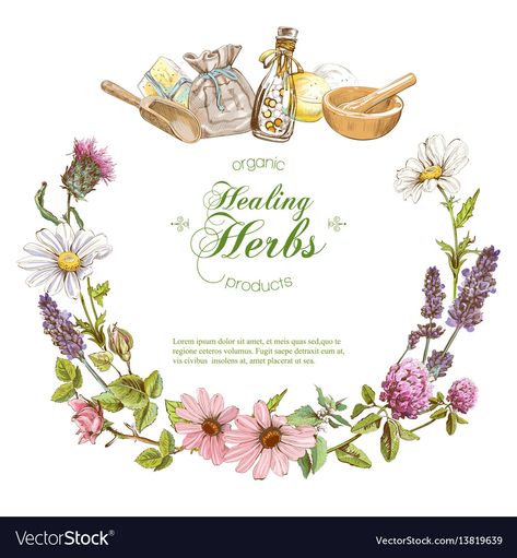 Vintage Banner Vector, Herbal Cosmetics, Herbal Logo, White Background Design, Tea Logo, Vintage Banner, Health Care Products, Pamphlet Design, Wedding Posters