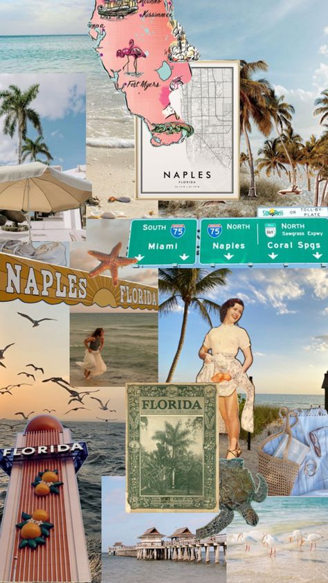 so excited for my trip to florida coming up!! Florida Collage, Florida Aesthetic, Trip To Florida, Naples Florida, My Trip, Naples, So Excited, Florida, Collage