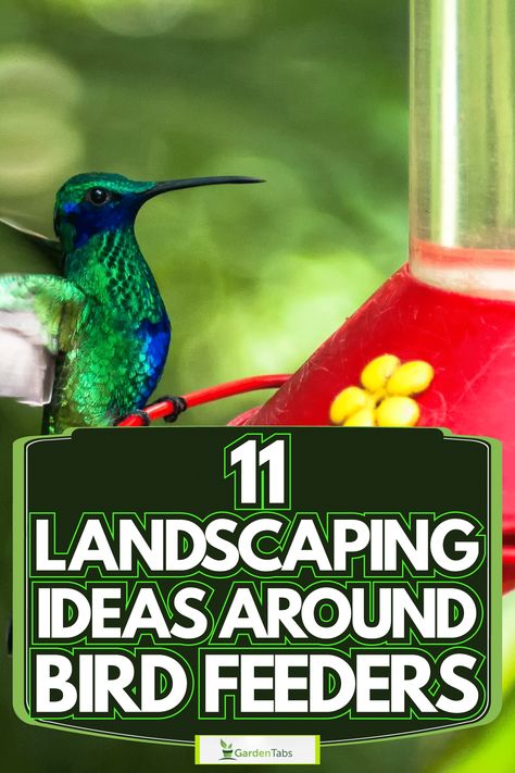 11 Landscaping Ideas Around Bird Feeders Bird Feeder Landscaping, Rustic Bird Feeders, Too Many Plants, Bird Feeder Station, Bird Feeder Stands, Large Bird Feeders, Backyard Birds Sanctuary, Backyard Birds Feeders, Make A Bird Feeder