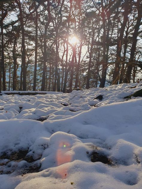 Sunny day in the Winter woods Sunny Snowy Day, Sunny Winter Day, Sunny Winter, Winter Woods, Snow Days, Winter Sky, Winter Wood, Winter Mornings, Winter Scenery